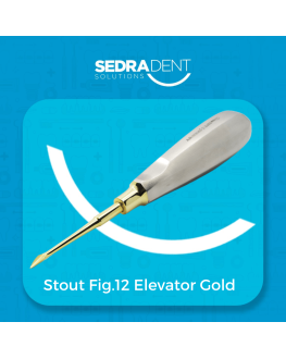 Stout Fig.12 Elevator Gold Plasma