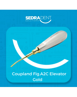 Coupland Fig.A2C Elevator Gold Plasma