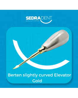 Berten Slightly Curved Elevator Gold Plasma